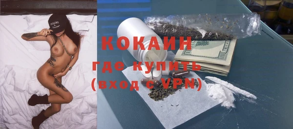 МДПВ Дмитриев