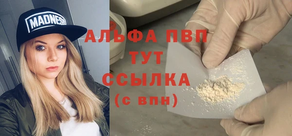 сатива Бородино