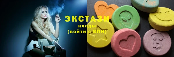 сатива Бородино