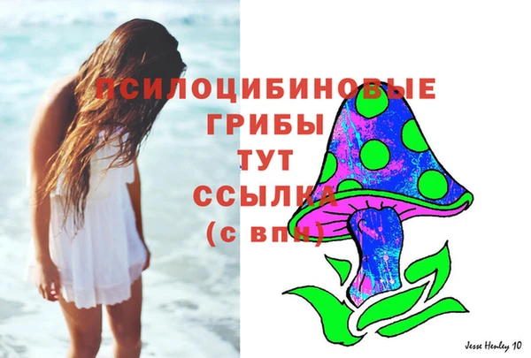 винт Бронницы
