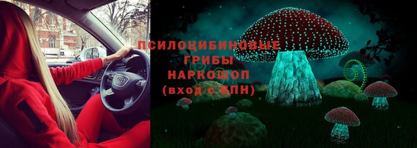 винт Бронницы